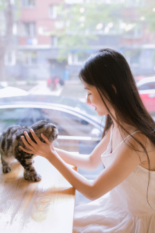 色降血玫瑰